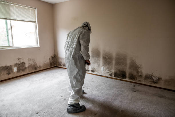 Best Crawl Space Mold Removal  in Magnolia, AR